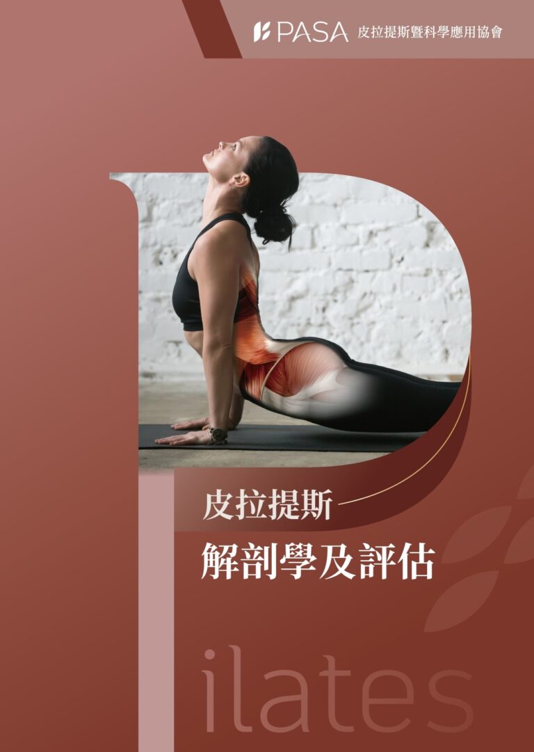 解剖學與AI體態評估